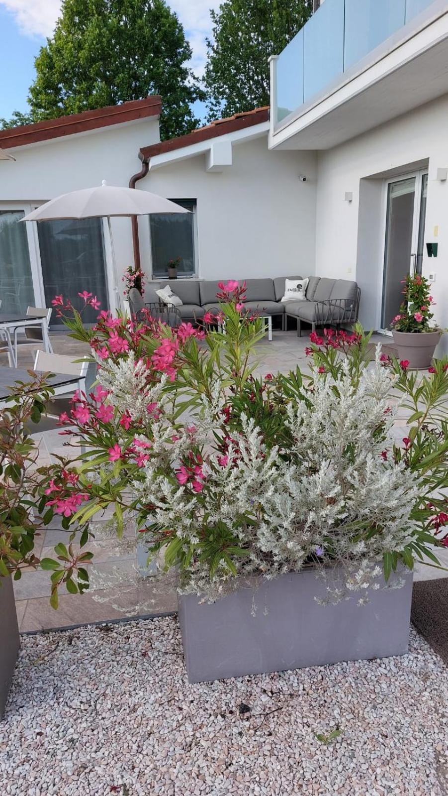 I Delfini - Natural B&B Cesenatico Εξωτερικό φωτογραφία