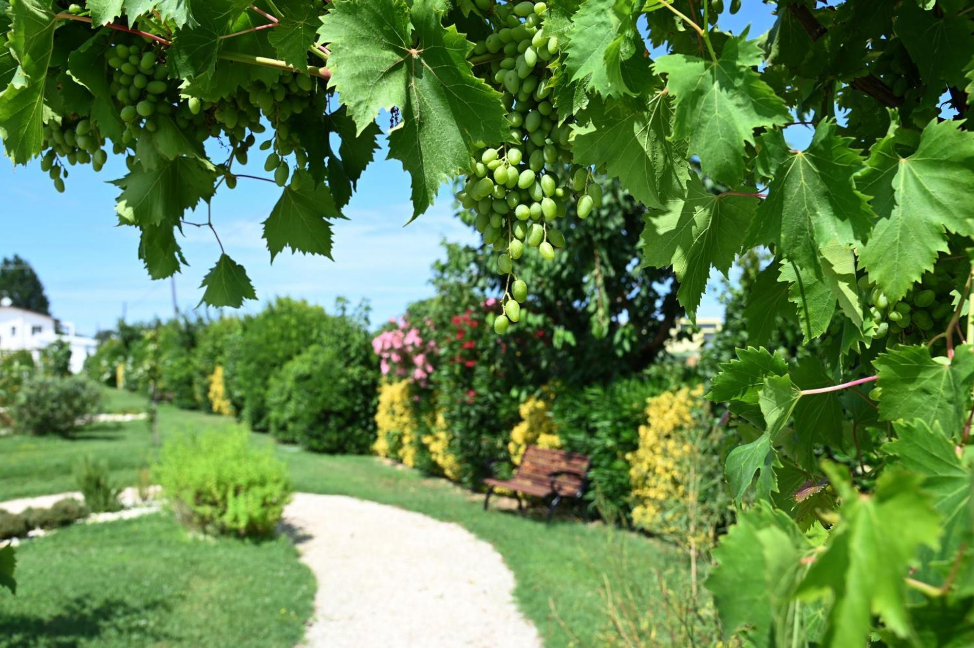 I Delfini - Natural B&B Cesenatico Εξωτερικό φωτογραφία